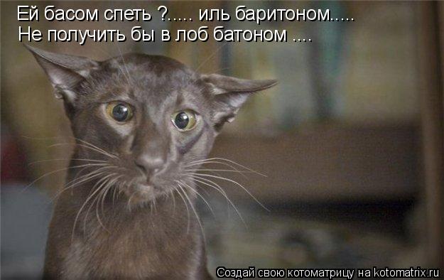 Котоматрица: Ей басом спеть ?..... иль баритоном..... Не получить бы в лоб батоном ....
