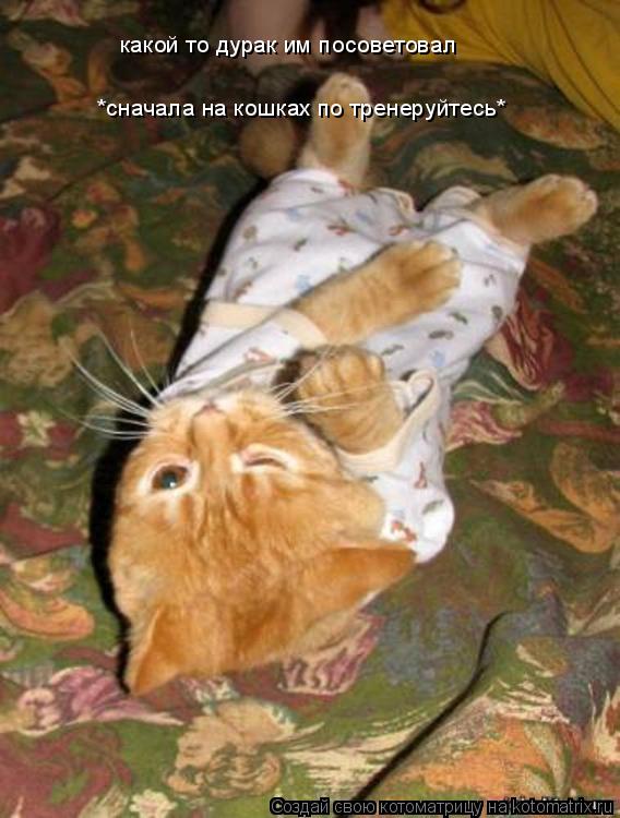 Котоматрица: *сначала на кошках по тренеруйтесь*  какой то дурак им посоветовал