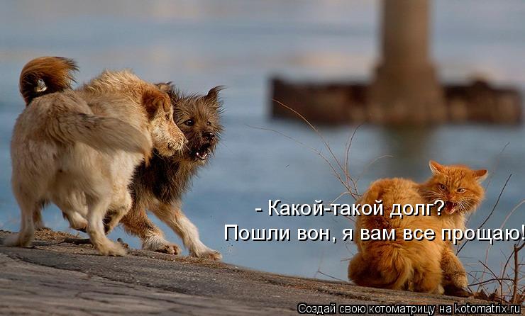 - Какой-такой долг? Пошли вон, я вам все прощаю!... Котоматрица: - Какой-такой долг? Пошли вон, я вам все прощаю!