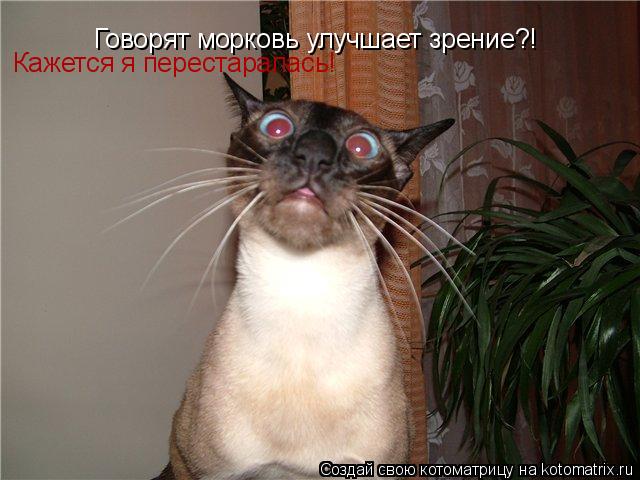Котоматрица: Говорят морковь улучшает зрение?! Кажется я перестаралась!