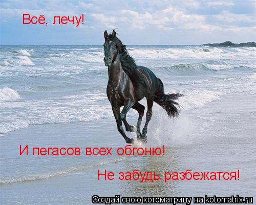Котоматрица: Всё, лечу! И пегасов всех обгоню! Не забудь разбежатся!