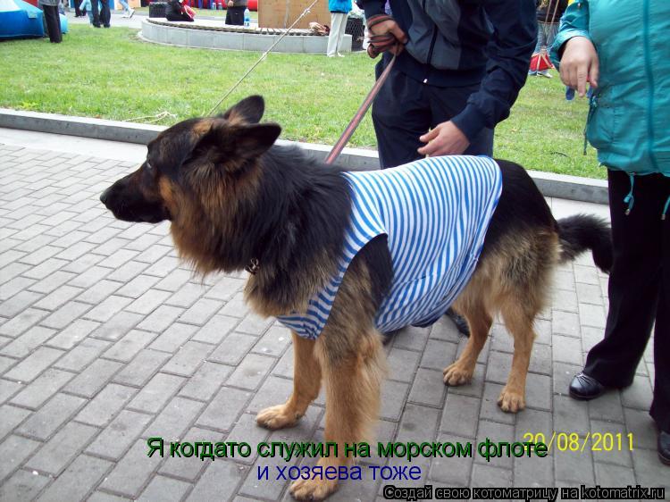 Котоматрица: Я когдато служил на морском флоте и хозяева тоже