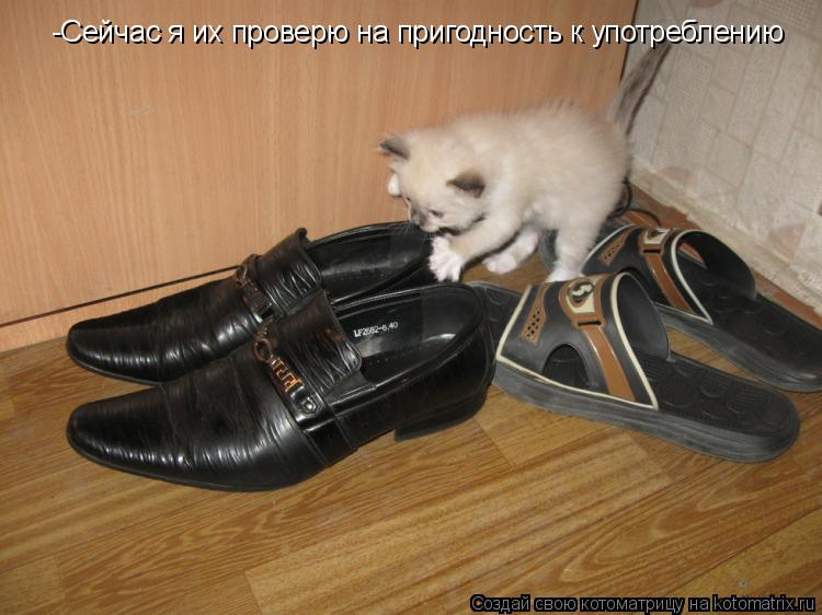Котоматрица: -Сейчас я их проверю на пригодность к употреблению