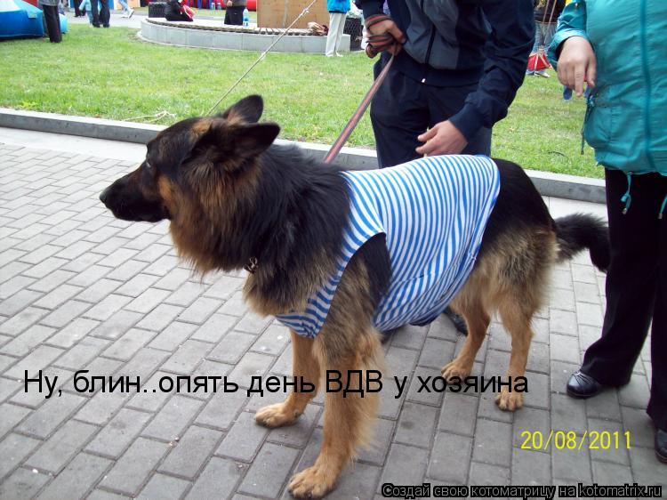 Котоматрица: Ну, блин..опять день ВДВ у хозяина
