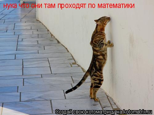 Котоматрица: нука что они там проходят по математики