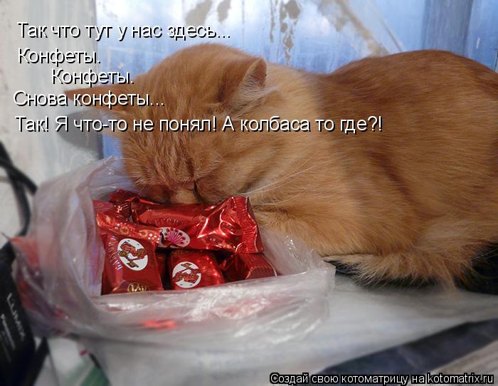 Котоматрица: Так что тут у нас здесь... Конфеты. Конфеты. Снова конфеты... Так! Я что-то не понял! А колбаса то где?!
