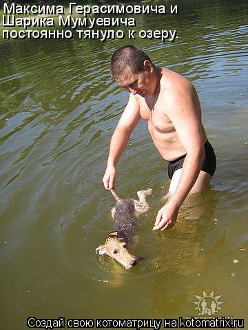 Котоматрица: Максима Герасимовича и Шарика Мумуевича постоянно тянуло к озеру.