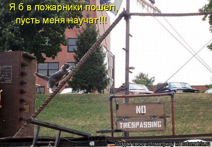 Котоматрица: Я б в пожарники пошёл,  пусть меня научат!!!