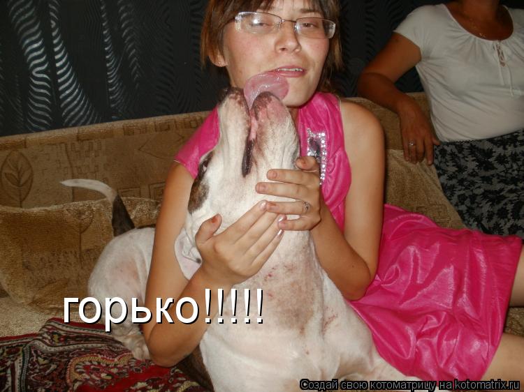 Котоматрица: горько!!!!!