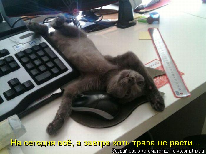 Котоматрица: На сегодня всё, а завтра хоть трава не расти...