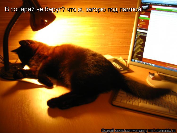 Котоматрица: В солярий не берут? что ж, загорю под лампой!