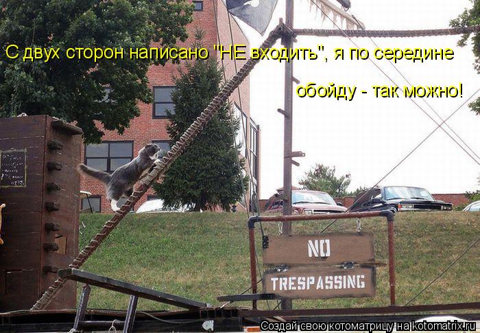 Котоматрица: С двух сторон написано "НЕ входить", я по середине  обойду - так можно!