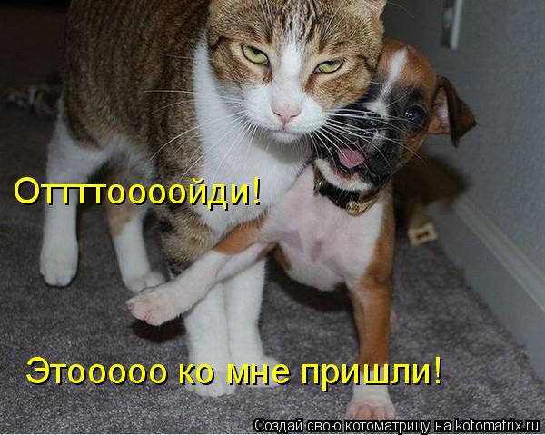 Котоматрица: Оттттоооойди! Этооооо ко мне пришли!
