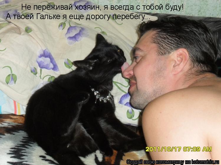 Котоматрица: Не переживай хозяин, я всегда с тобой буду! А твоей Гальке я еще дорогу перебегу...