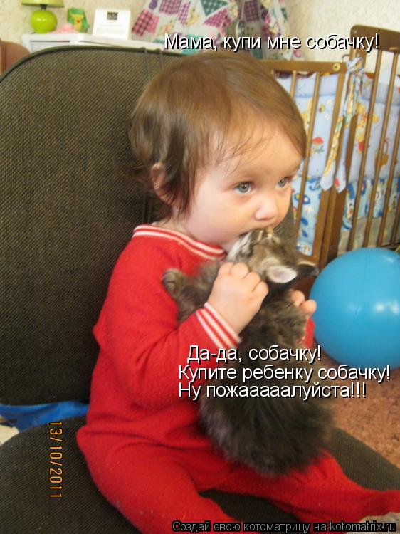 Котоматрица: Мама, купи мне собачку! Да-да, собачку! Купите ребенку собачку! Ну пожааааалуйста!!!