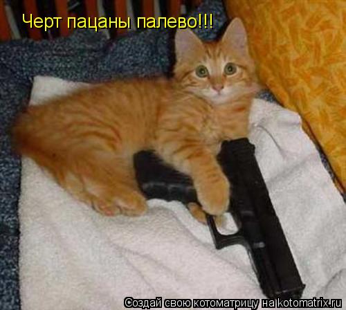 Котоматрица: Черт пацаны палево!!!