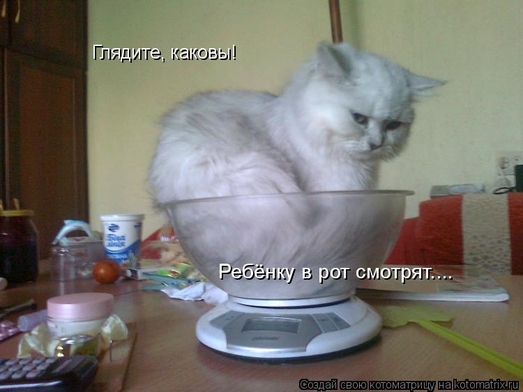 Котоматрица: Ребёнку в рот смотрят.... Глядите, каковы!