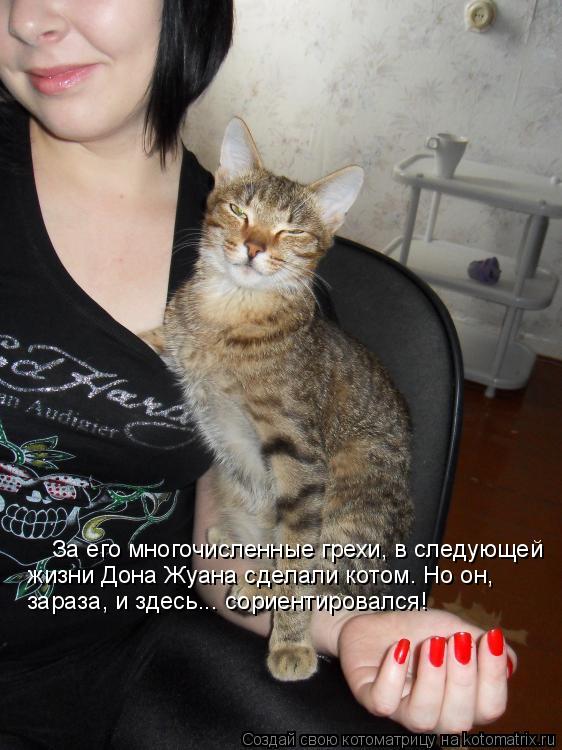 Котоматрица: За его многочисленные грехи, в следующей жизни Дона Жуана сделали котом. Но он,  зараза, и здесь... сориентировался!