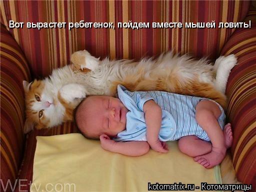 Вот вырастет ребетенок, пойдем вместе мышей ловить!... Котоматрица: Вот вырастет ребетенок, пойдем вместе мышей ловить!