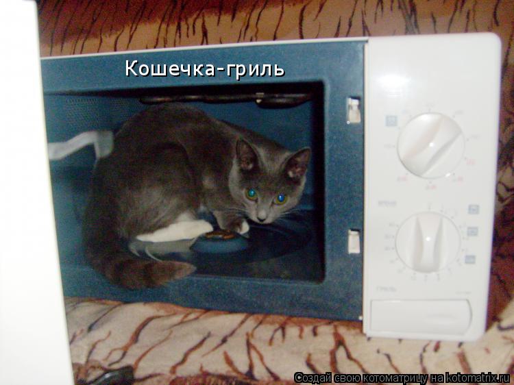 Кошечка-гриль... Котоматрица: Кошечка-гриль
