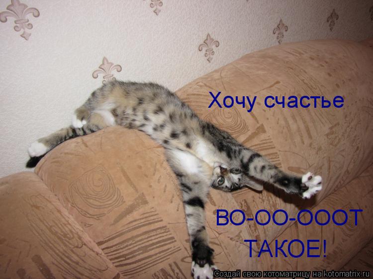 Хочу счастье ВО-ОО-ОООТ ТАКОЕ!... Котоматрица: Хочу счастье ВО-ОО-ОООТ ТАКОЕ!