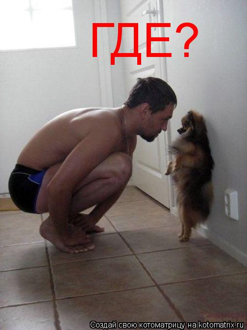 ГДЕ?... Котоматрица: ГДЕ?