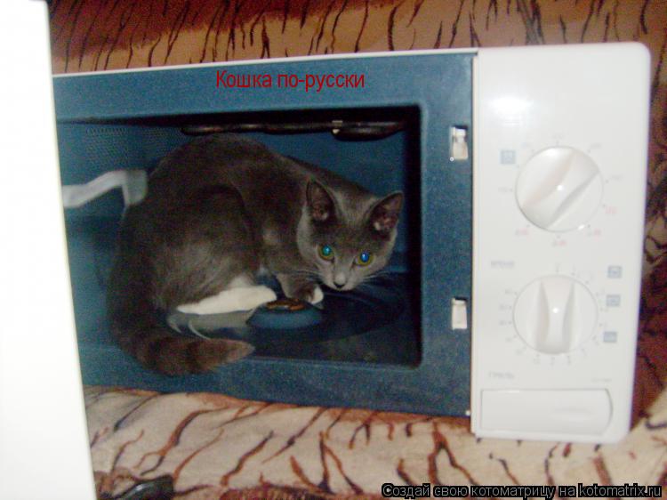 Кошка по-русски... Котоматрица: Кошка по-русски