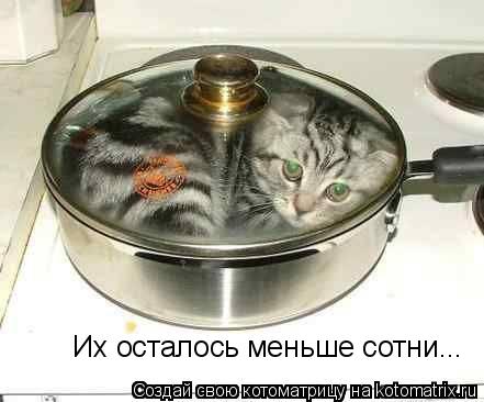 Их осталось меньше сотни...... Котоматрица: Их осталось меньше сотни...