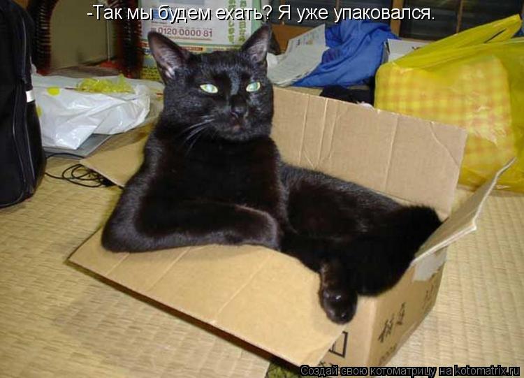 -Так мы будем ехать? Я уже упаковался.... Котоматрица: -Так мы будем ехать? Я уже упаковался.