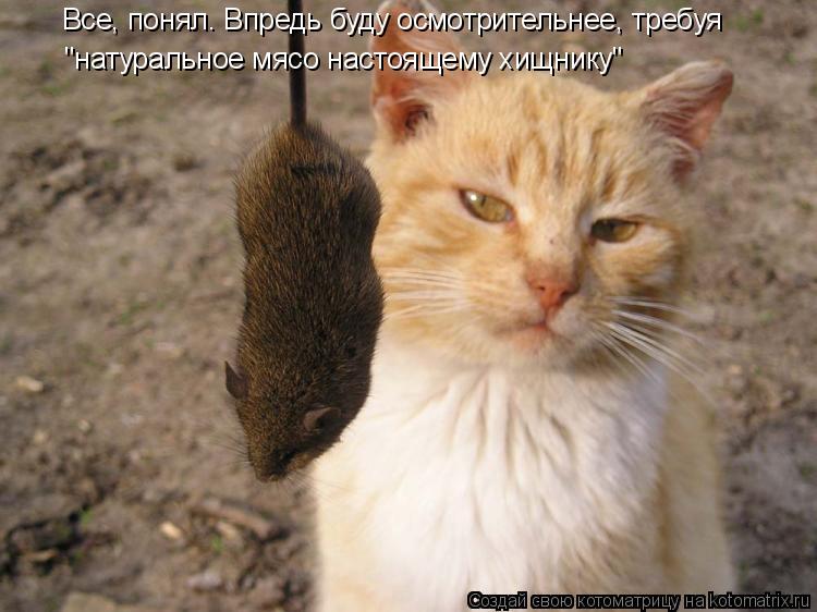 Все, понял. Впредь буду осмотрительнее, требуя "натуральное мясо настоящему хищнику"... Котоматрица: Все, понял. Впредь буду осмотрительнее, требуя "натуральное мясо настоящему хищнику"