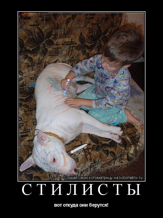 Котоматрица: стилисты вот откуда они берутся!