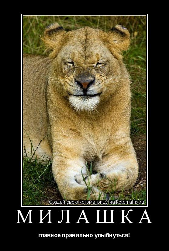 Котоматрица: МИЛАШКА главное правильно улыбнуться!
