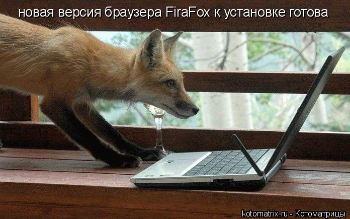 Котоматрица: новая версия браузера FiraFox к установке готова