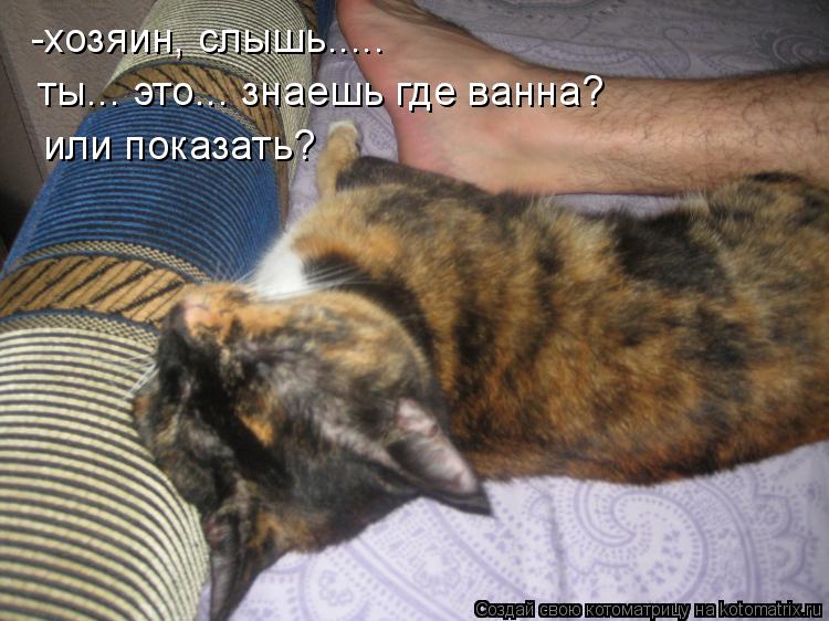Котоматрица: -хозяин, слышь..... ты... это... знаешь где ванна? или показать?