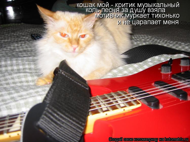 кошак мой - критик музыкальный коль песня за душу взяла мотивчик муркает тихонько и не царапает меня... Котоматрица: кошак мой - критик музыкальный коль песня за душу взяла мотивчик муркает тихонько и не царапает меня