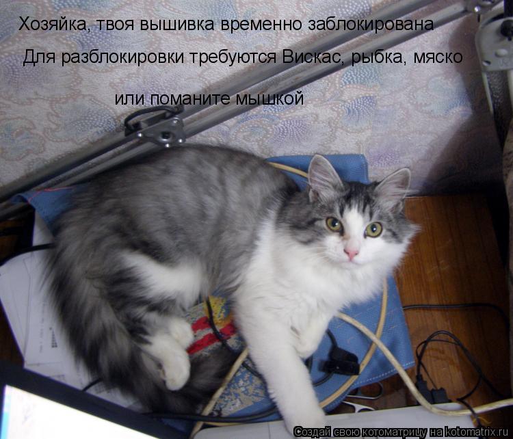 Хозяйка, твоя вышивка временно заблокирована Для разблокировки требуются Вискас, рыбка, мяско или пом... Котоматрица: Хозяйка, твоя вышивка временно заблокирована Для разблокировки требуются Вискас, рыбка, мяско или поманите мышкой