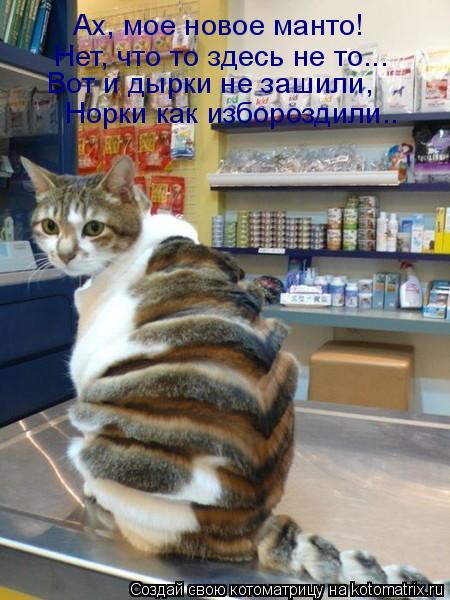 Ах, мое новое манто! Нет, что то здесь не то... Вот и дырки не зашили, Норки как избороздили..... Котоматрица: Ах, мое новое манто! Нет, что то здесь не то... Вот и дырки не зашили, Норки как избороздили..