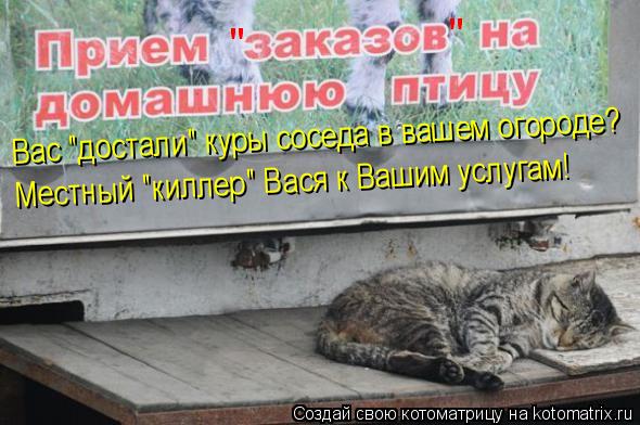" " Вас "достали" куры соседа в вашем огороде? Местный "киллер" Вася к Вашим услугам!... Котоматрица: " " Вас "достали" куры соседа в вашем огороде? Местный "киллер" Вася к Вашим услугам!