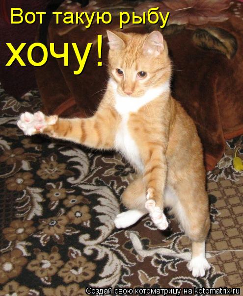 Котоматрица: Вот такую рыбу хочу!
