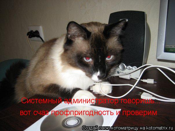 Котоматрица: Системный администратор говоришь... вот счаз профпригодность и проверим