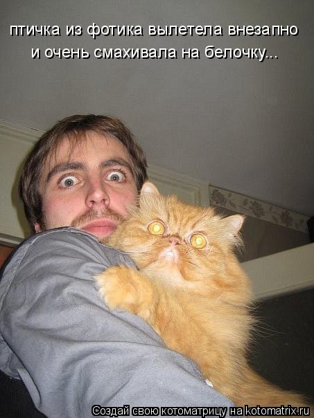 птичка из фотика вылетела внезапно и очень смахивала на белочку...... Котоматрица: птичка из фотика вылетела внезапно и очень смахивала на белочку...