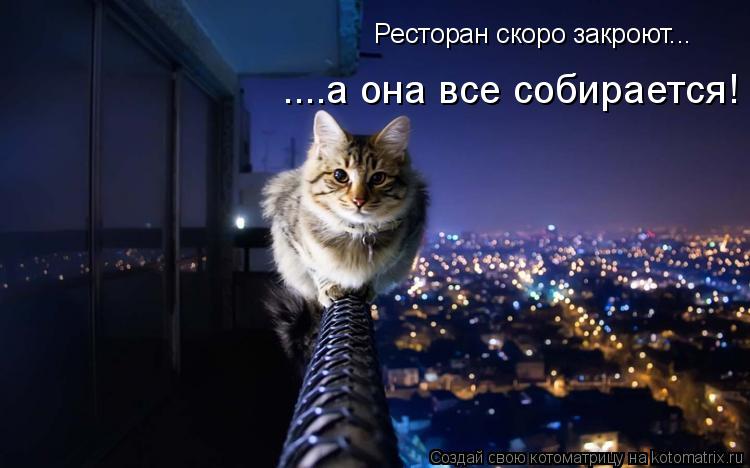 Котоматрица: Ресторан скоро закроют... ....а она все собирается!