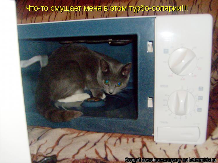 Котоматрица: Что-то смущает меня в этом турбо-солярии!!!