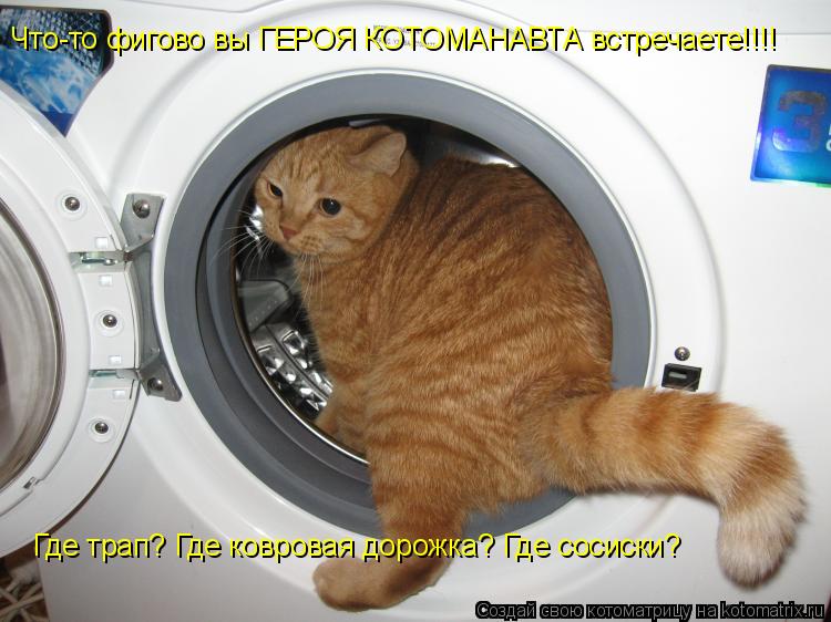 Где трап? Где ковровая дорожка? Где сосиски? Что-то фигово вы ГЕРОЯ КОТОМАНАВТА встречаете!!!!... Котоматрица: Где трап? Где ковровая дорожка? Где сосиски? Что-то фигово вы ГЕРОЯ КОТОМАНАВТА встречаете!!!!