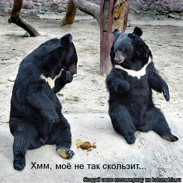 Хмм, моё не так скользит...... Котоматрица: Хмм, моё не так скользит...