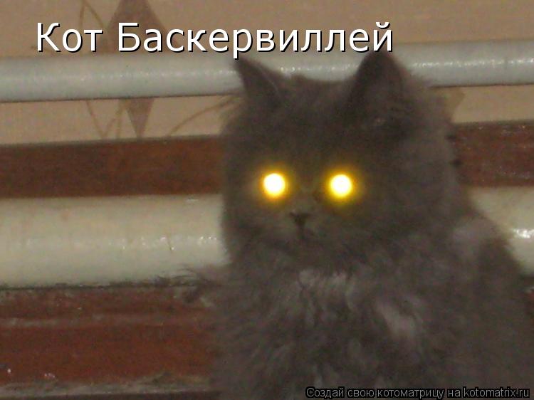 Кот Баскервиллей... Котоматрица: Кот Баскервиллей