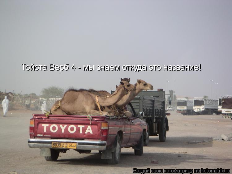 Тойота Верб 4 - мы знаем откуда это название!... Котоматрица: Тойота Верб 4 - мы знаем откуда это название!