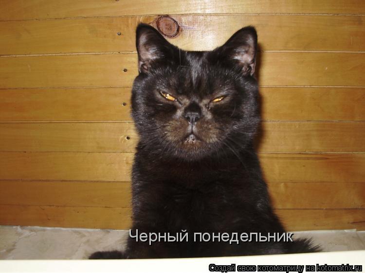 Черный понедельник... Котоматрица: Черный понедельник