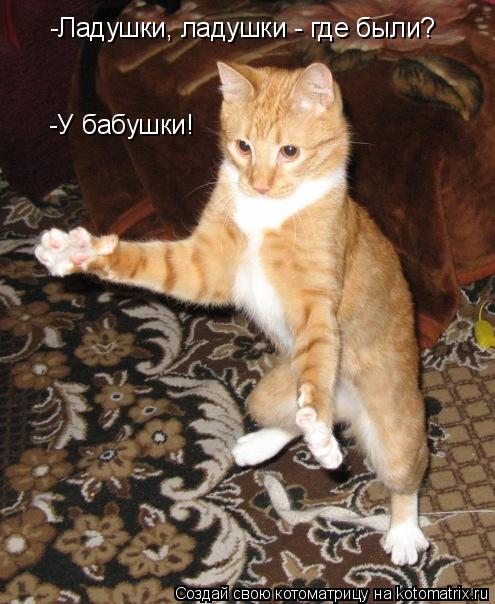 -Ладушки, ладушки - где были? -У бабушки!... Котоматрица: -Ладушки, ладушки - где были? -У бабушки!