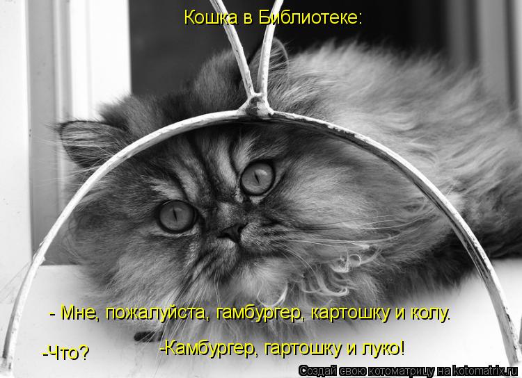 Кошка в Библиотеке: - Мне, пожалуйста, гамбургер, картошку и колу. -Что? -Камбургер, гартошку и луко!... Котоматрица: Кошка в Библиотеке: - Мне, пожалуйста, гамбургер, картошку и колу. -Что? -Камбургер, гартошку и луко!